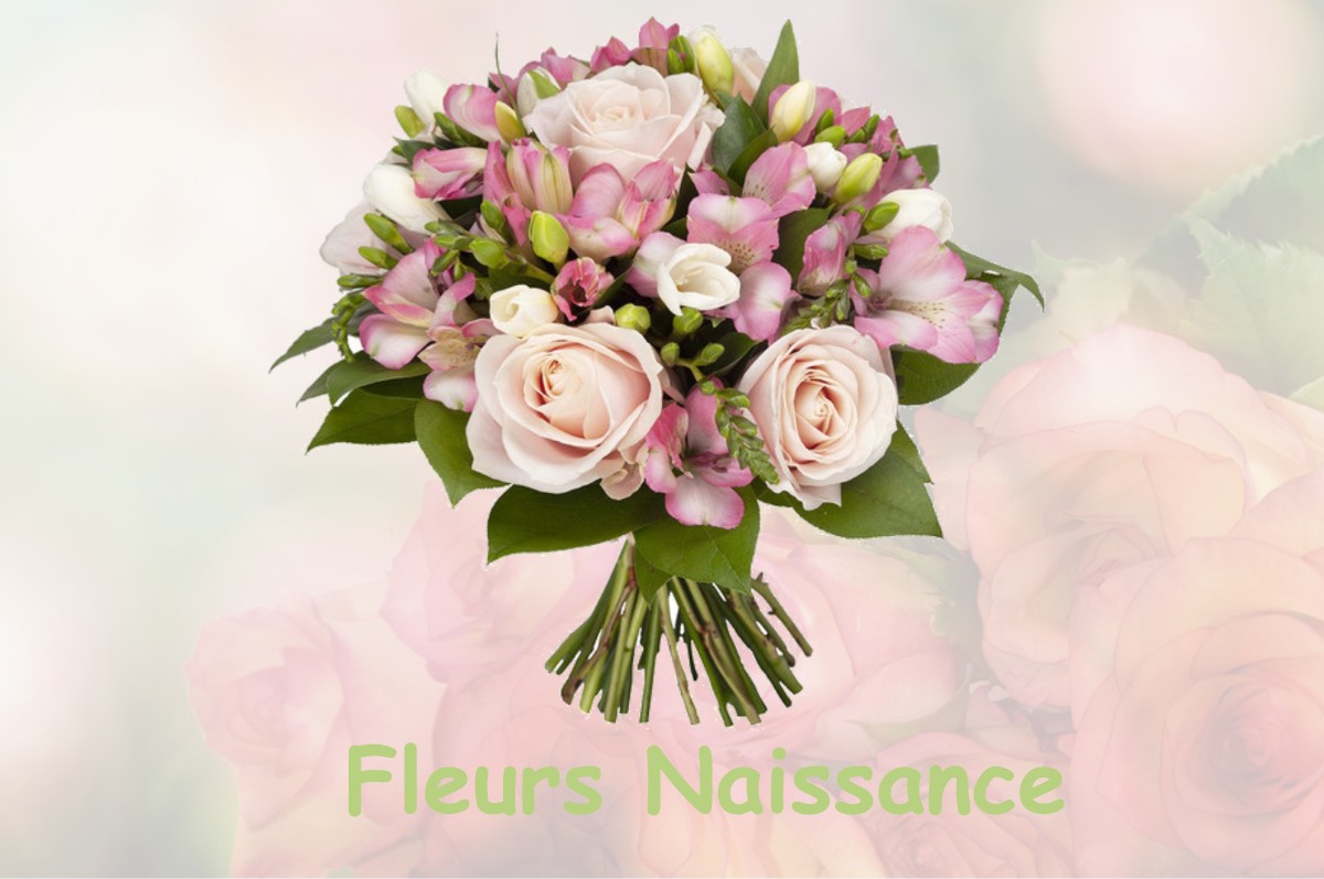 fleurs naissance VABRES-L-ABBAYE